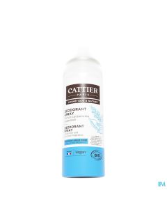 CATTIER DEO BRUM ACT PATCHOU100ML
