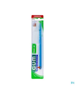BDEN GUM CLASSIC AD PTE TETE 407