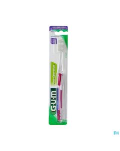 BDEN GUM DELICATE 317
