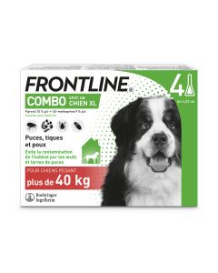 FRONTLINE COMBO CHIEN XL 4P