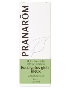 Eucalyptus globuleux  - feuille  - 10 ml