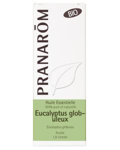 Eucalyptus globuleux  - feuille BIO*  - 10 ml
