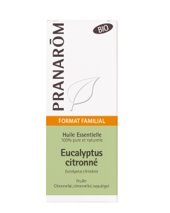 Eucalyptus citronné - feuille BIO*  - 30 ml