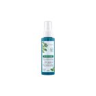 Klorane - Menthe Aquatique - Brume détox à la Menthe aquatique BIO - Cheveux normaux 100 ml