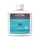 Shampooing Volume - Sans Sulfates - 250ml BIO