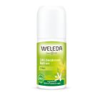 Déodorant roll-on 24H Citrus - 50 ml