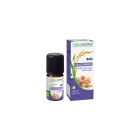 Naturactive - Huiles Essentielles - Gingembre Bio 5ml