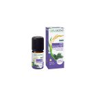 Naturactive - Huiles Essentielles - Pin sylvestre Bio 5ml