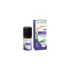 Naturactive - Huiles Essentielles - Thym à Linalol Bio 5ml