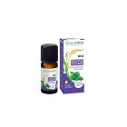 Naturactive - Huiles Essentielles - Menthe Poivrée Bio 10ml