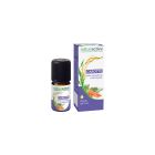 Naturactive - Huiles Essentielles - Carotte 5ml