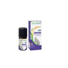 Naturactive - Huiles Essentielles - Cajeput 5ml