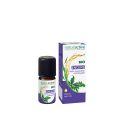 Naturactive - Huiles Essentielles - Encens BIO 5ml