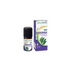 Naturactive - Huiles Essentielles - Mandravasarotra BIO 5ml