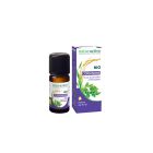 Naturactive - Huiles Essentielles - Coriandre Bio 10ml