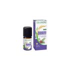 Naturactive - Huiles Essentielles - Lentisque Pistachier Bio 5ml