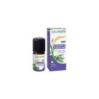 Naturactive - Huiles Essentielles - Romarin à verbénone Bio 5ml