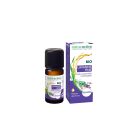 Naturactive - Huiles Essentielles - Lavande Fine Bio 10ml