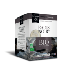 Ampoules Radis noir BIO