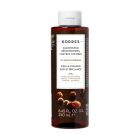 Shampoing Professionnel Post-Coloration huile d&#039;Argan (cheveux colorés) 250ml