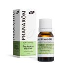 Pranarom - Eucalyptus Citronné BIO - Huile Essentielle Chémotypée - Muscles et Articulations - 100% Pure Et Naturelle - HECT - 10 ml