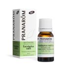 Pranarom - Eucalyptus Radié BIO - Huile Essentielle Chémotypée - Voies Respiratoires - 100% Pure Et Naturelle - HECT - 10 ml