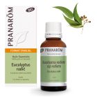 Eucalyptus radié - feuille BIO*  - 30 ml