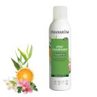 SPRAY ASSAINISSANT RAVINTSARA/TEA-TREE BIO (ECO) 75 ML