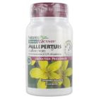 HERBAL ACTIVES MILLEPERTUIS ACTION PROL CPR 60