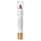 EMBRYOLISSE SECRET MAQUIL BAUME LEVRES ROSE 2G5
