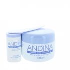 ANDINA CREME DECOLORANTE DUVET  30ML