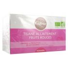 GIFRER TISANE ALLAITEMENT BIO FR ROUGES SACHET 20