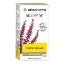 ARKOGELULES BRUYERE GELULE 45