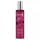 CAUDALIE HUILE NOURR CORPS CHEVEUX THE VIGNES 50ML