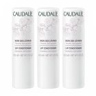 CAUDALIE SOIN LEVRES STICK 4G X3