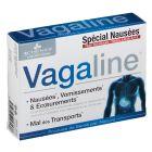 LES 3CHENES VAGALINE NAUSEE VOMISS ECOEUR CPR 15