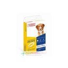 CLEMENT THEKAN DELTATIC COLLIER MOYEN CHIEN
