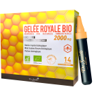 AMPOULE GELEE ROYALE BIO 2000 mg