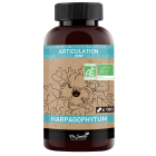 DRSMITH HARPAGOPHYTUM BIO 180 GEL