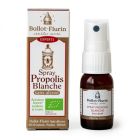 BALLOT FLURIN SPRAY PROPOLIS SS ALCOOL BIO 15ML