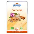 BIOFLORAL CURCUMA ELIXIR BIO INFUSETTE 1G2 20