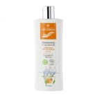 MONTBRUN SHAMPOOING CHEVEUX VOLUMATEUR BIO 250ML