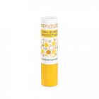 APIVITA SOIN LEVRES PROTECTEUR STICK 4G