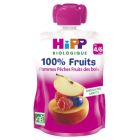 HIPP GOURDE POMME PECHE FRUITS BOIS BIO 90G