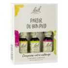 FLEUR BACH ELIXIR FLORAL KIT PARTIR DU BON PIED