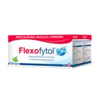 FLEXOFYTOL ARTICULATIONS CAPS 180