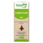 HERBALGEM MARRONNIER BOURGEON MACERAT GLY BIO 30ML