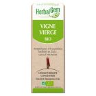 HERBALGEM VIGNE VIERGE BOURGEON MACER GLY BIO 30ML