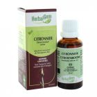 HERBALGEM CITRONNIER BOURGEON MACERAT GLY BIO 30ML