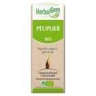 HERBALGEM PEUPLIER BOURGEON MACERAT GLYCE BIO 30ML